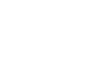 Correcaminos de Colombia