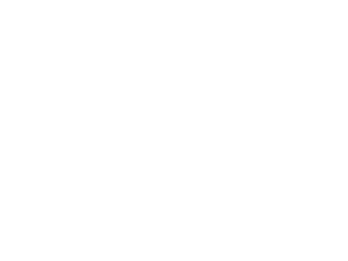 Correcaminos de Colombia
